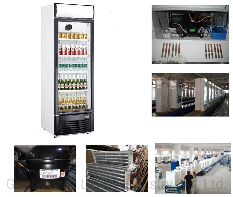 Direct Cooling Commercial Freezer Drink Cooler Showcase Refrigerator Beverage Fridge