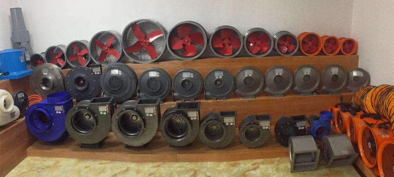 10 Inch 220V Axial Flow Blower Fan