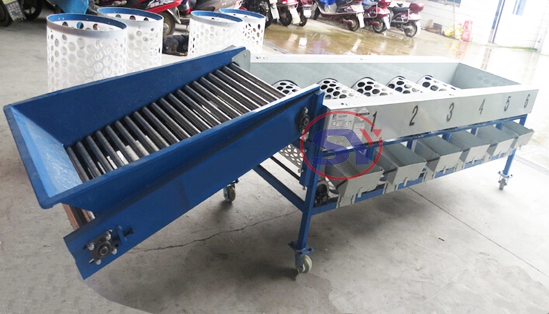 Full Automatic Industrial Apple Sorting Grading Machine for Classifying Onion Garlic