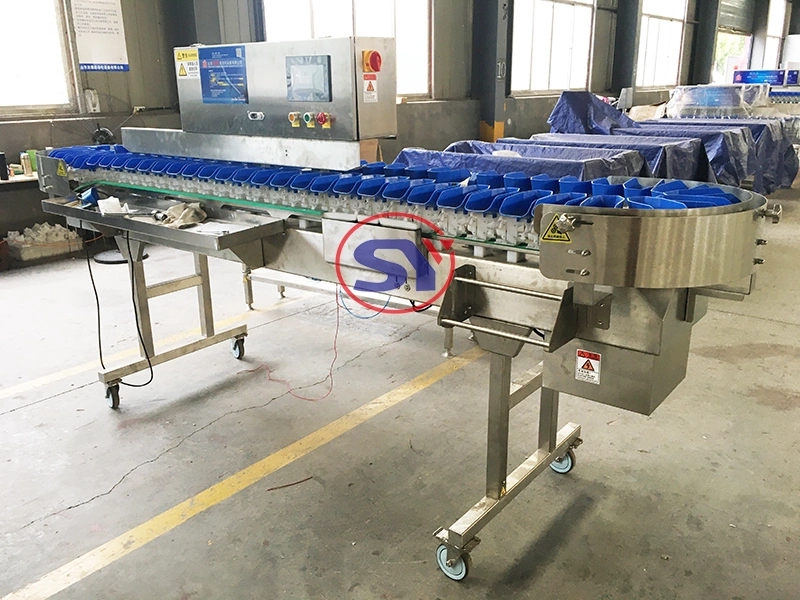 Turntable Automatic Weight Classifier Sorter for Checking Nuts Fruit by Weighing