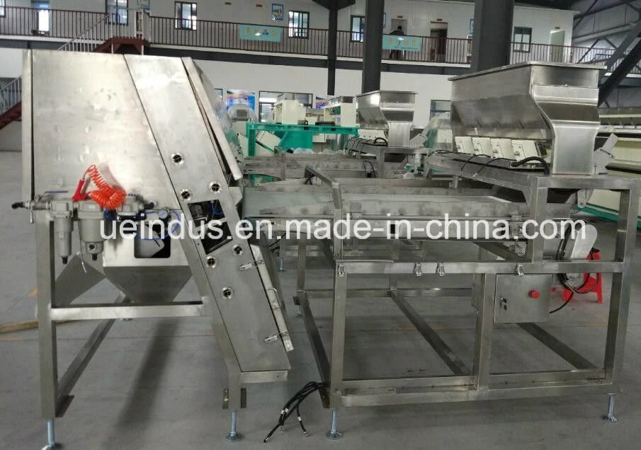 Automatic Belt Type Color Sorter for Cashew Nuts/ Cashew Nuts Color Sorter/Nuts Sorter China Factory