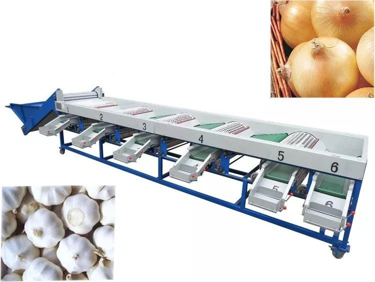 Full Automatic Industrial Apple Sorting Grading Machine for Classifying Onion Garlic