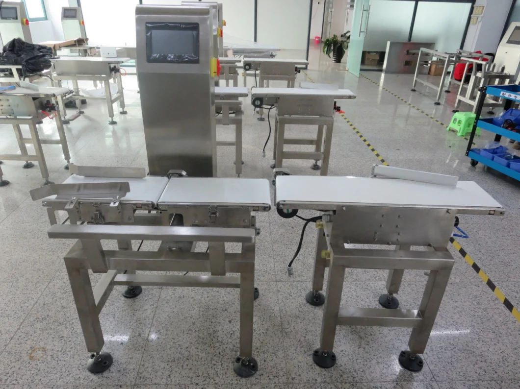 High Accuracy Checkweigher for Food/Packaging Product