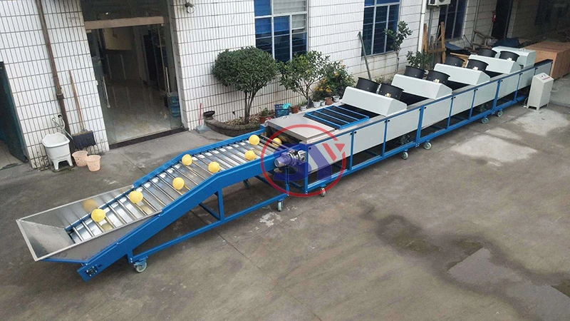 Full Automatic Industrial Apple Sorting Grading Machine for Classifying Onion Garlic