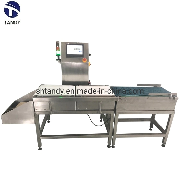 Automatic High Accuracy Checkweigher/Check Weigher Weighing Scales with Belt