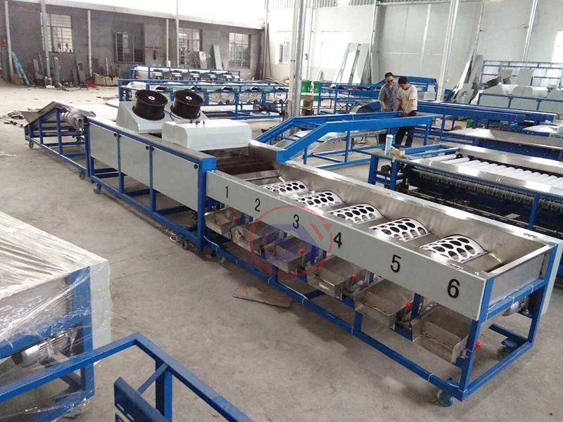 Full Automatic Industrial Apple Sorting Grading Machine for Classifying Onion Garlic