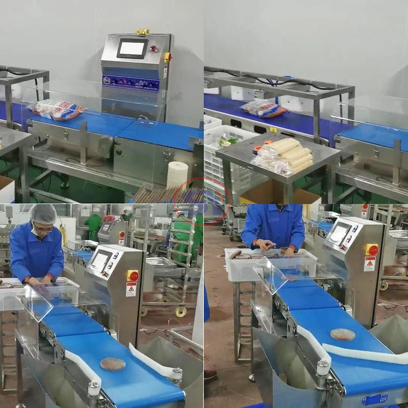 Automatic Weight Grading Conveyor Weight Checker