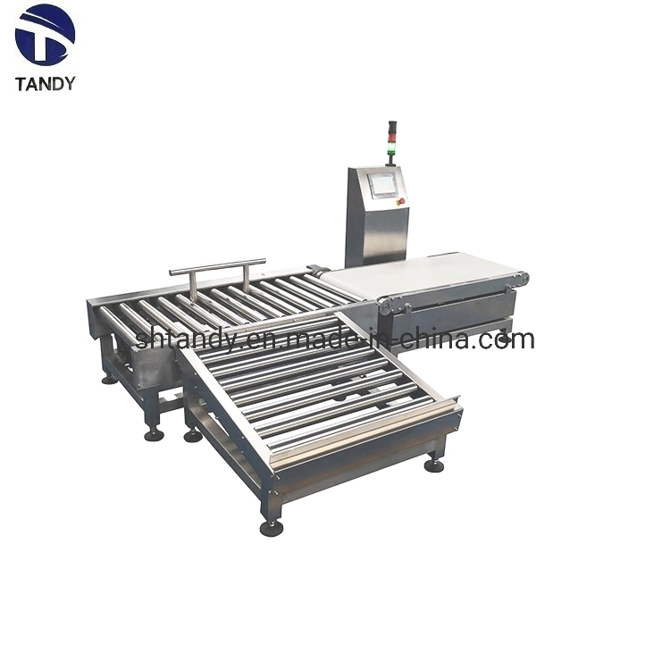 Automatic High Accuracy Checkweigher/Check Weigher Weighing Scales with Belt