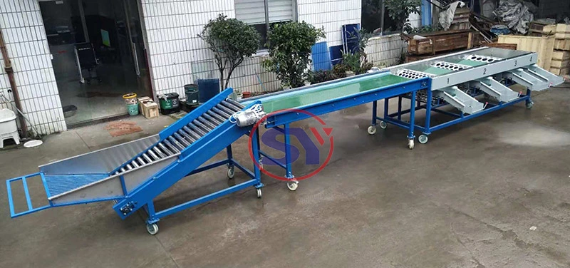 Full Automatic Industrial Apple Sorting Grading Machine for Classifying Onion Garlic