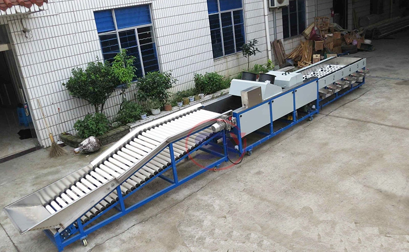 Full Automatic Industrial Apple Sorting Grading Machine for Classifying Onion Garlic