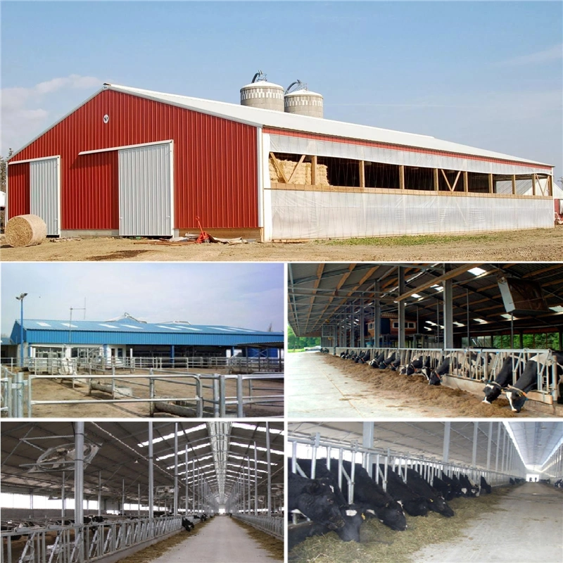 Factory Price Processing Steel Structure Houses Prefabricated Metal Frame Buildings