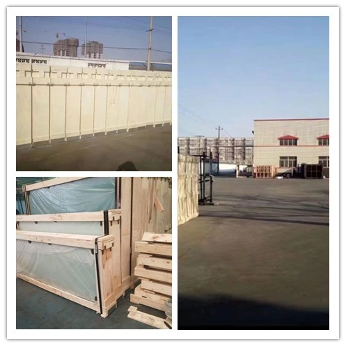 Toughened Glass/Safe Glass High Quality Manufacture