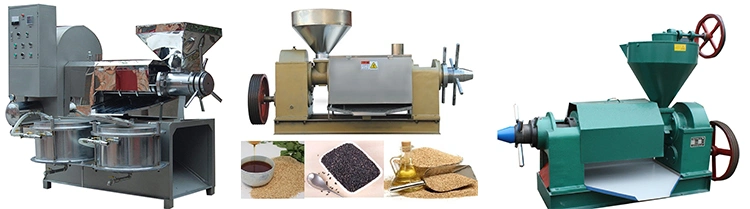 New Type Cannabis Oil Press Machine Avocado Oil Press Machine Sesame Oil Press Machine