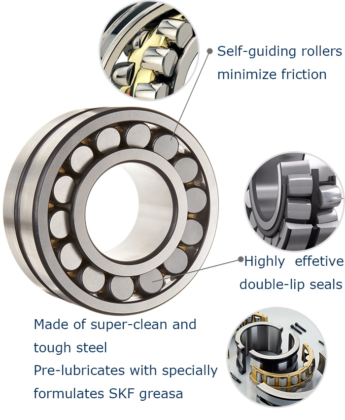 Spherical Roller Bearing Tapered Roller Bearing Cylindrical Roller Bearing Needle Roller Bearing