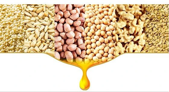 Extractor Machine Oil Press Cold Screw Oil Press Machine