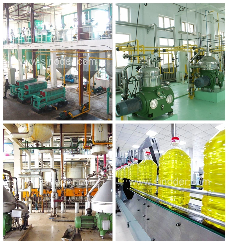 Small Scale Oil Mill Rapeseed Oil Extractor Screw Oil Press Machine Easy to Operate