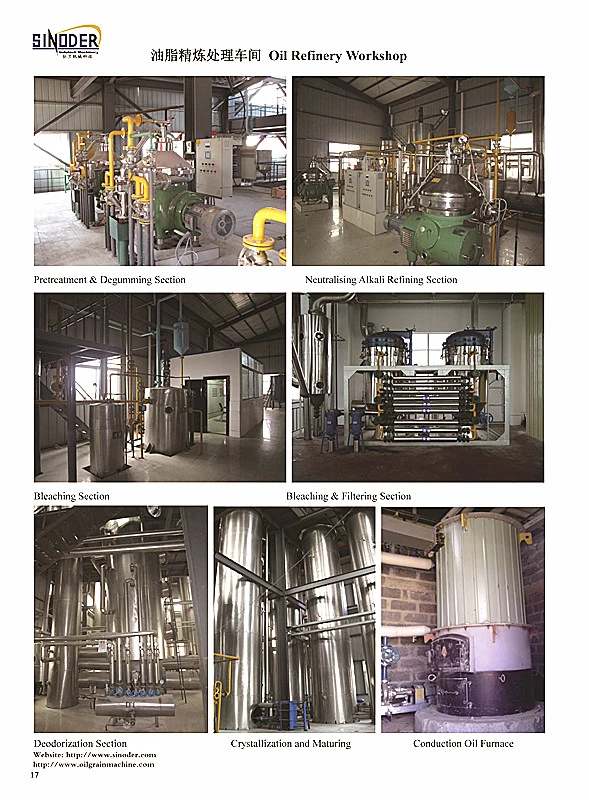 Crude Rapeseed Oil Oil Refining Plant Edible Oil Refinery Machinery