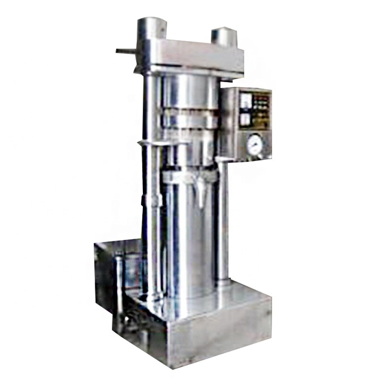 Black Seed Oil Press Machine Screw Oil Press