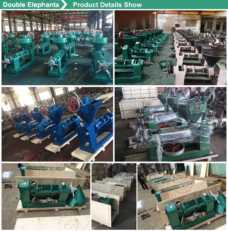 Cold Press Mustard Cooking Oil Extracting Press Machine Commercial