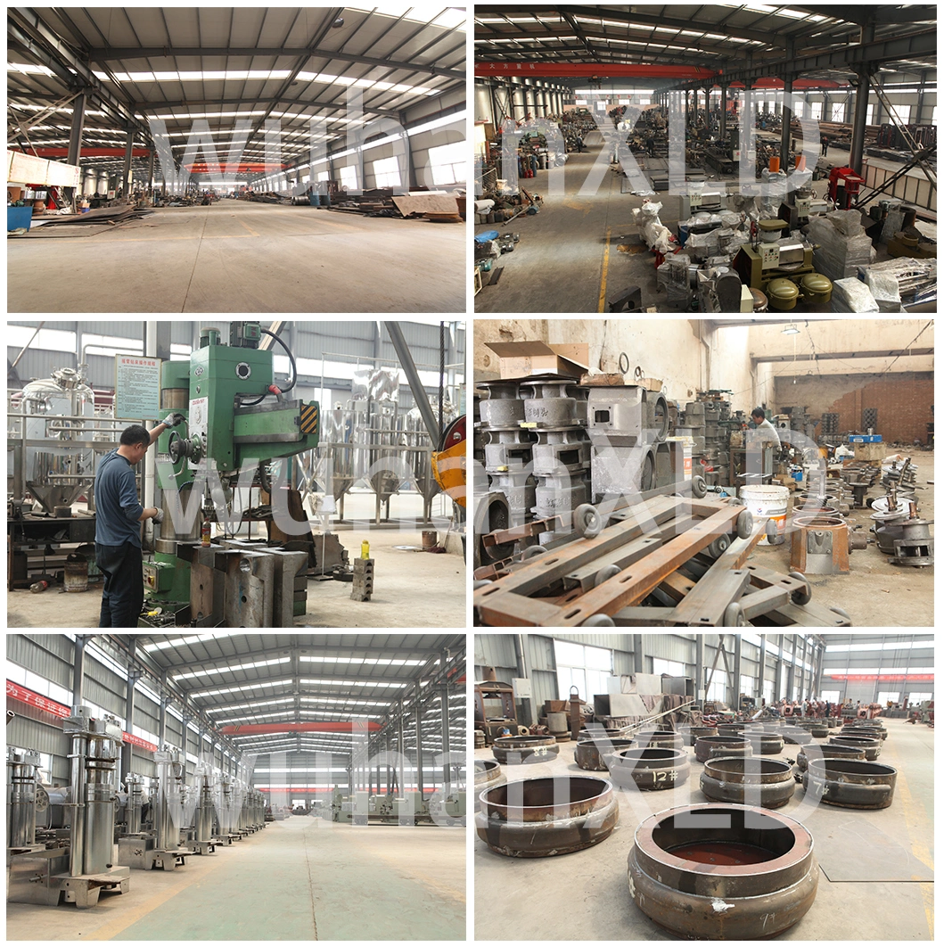 Mini Oil Expeller Sesame Seed Hydraulic Oil Press Machine Small Cold Hydraulic Press Oil Machine