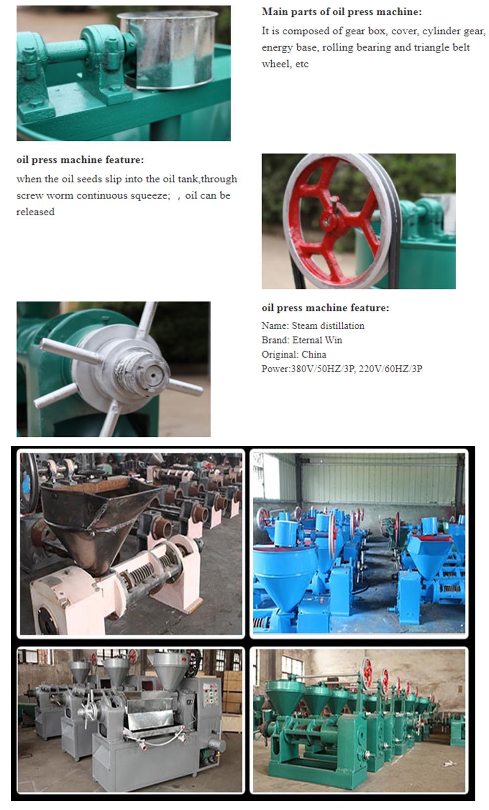 Popular Cold Press Black Cumin Oil Machinery Vegetable Oil Extract Press Avocado Oil Extraction Machine