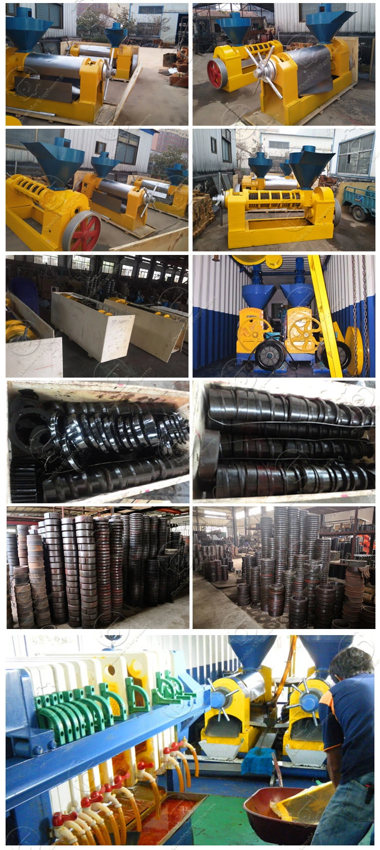 Oil Expeller Sunflower Oil Extraction Vegetable Oil Press Machine Oil Mill Machinery Prices