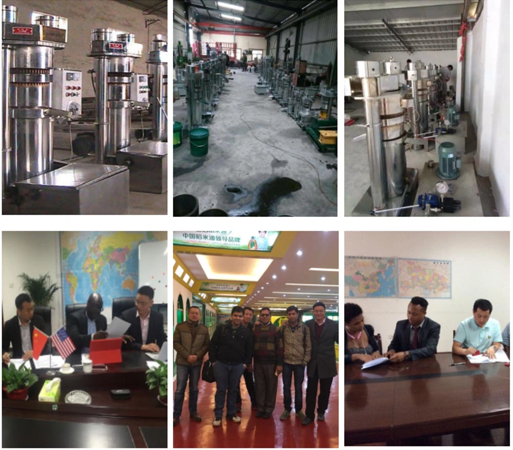 Mini Oil Press Machine Hydraulic Oil Extraction Machine Cold & Hot Cocoa Butter Press Machinery