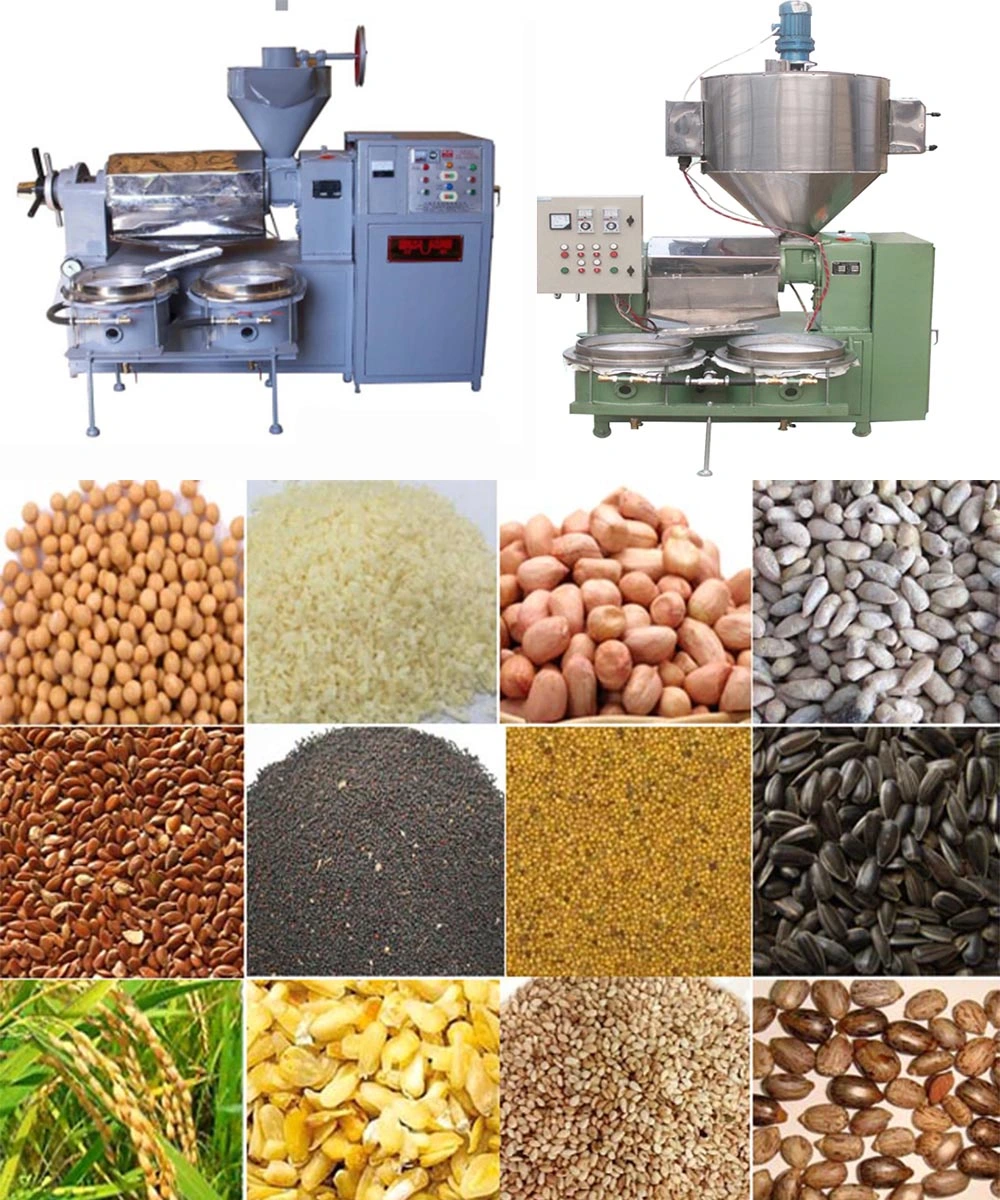 Hot&Cold Screw Oil Press Machine Soybean Usage Avocado Oil Extractor for Sale