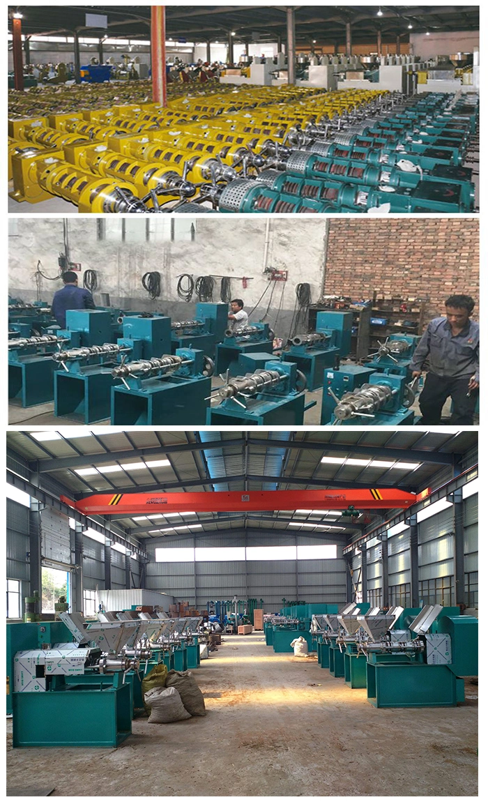 Farm Machine Manufacture Vegetable Mustard Black Seeds Poppy Seeds Pumpkin Seeds Oil Extraction Machine