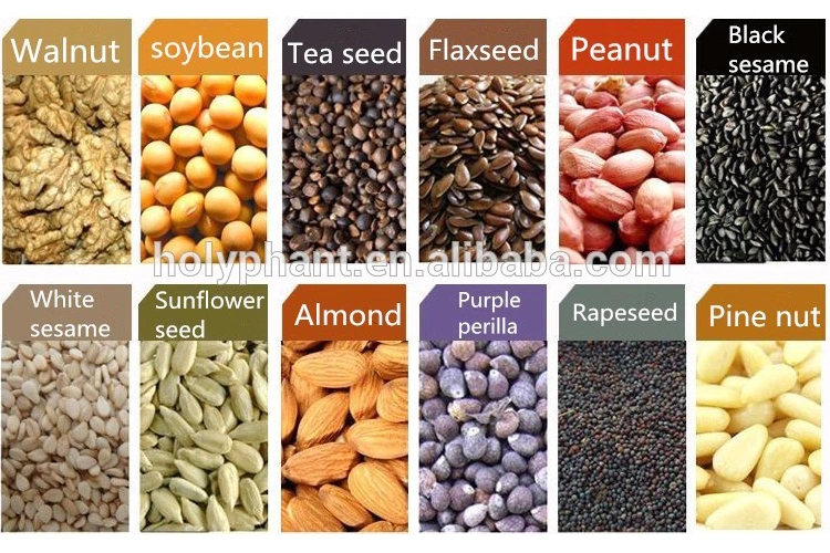Corn Oil Machine Cotton Seed Oil Plant Oil Press Cold Press Mustard Oil Machinery