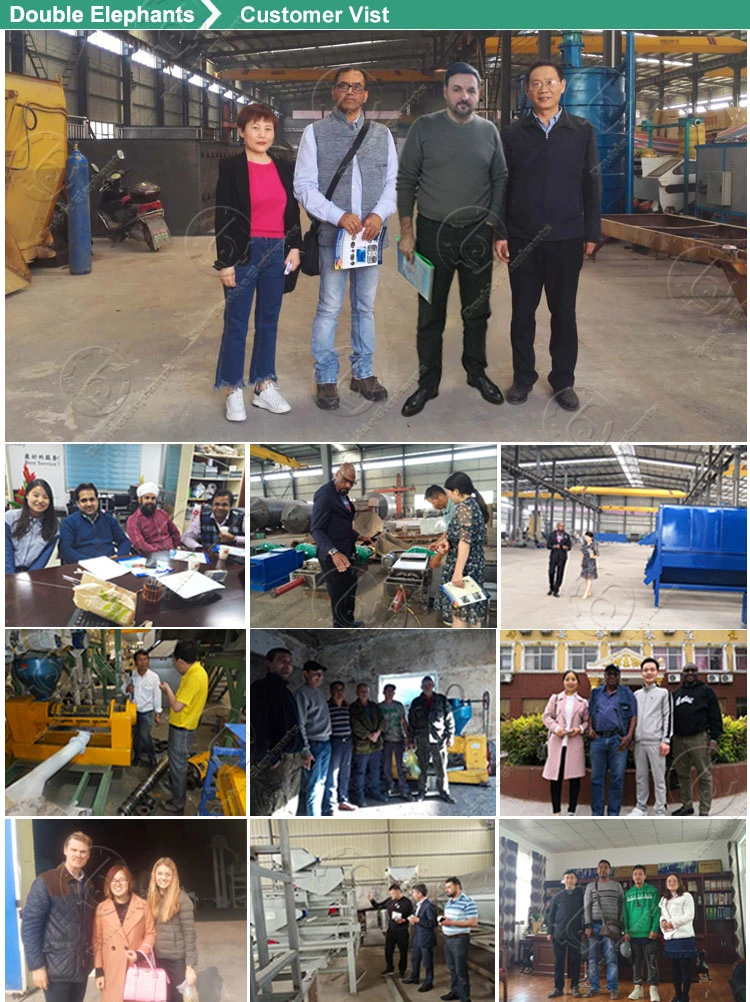 Oil Press Machine Price Coconut Oil Extractor Sunflower Oil Extraction Vegetable Oil Press Machine