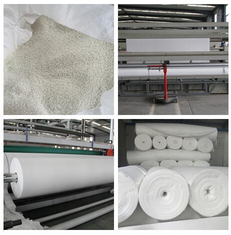Polypropylene Spunbond Non Woven Fabric