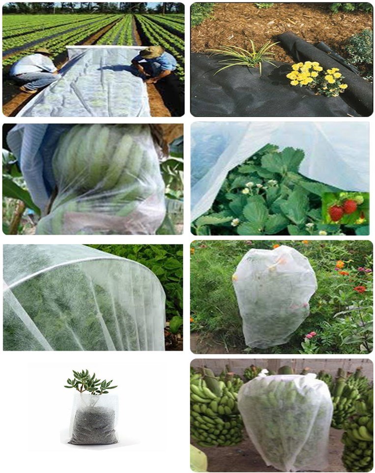 Mothproof PP Spunbond Nonwoven Fabric Anti-UV for Agriculture