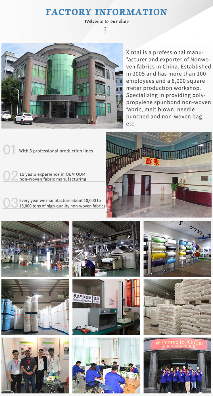 100 Polypropylen Recyclable Non Woven PP Fabric Roll for Agriculture