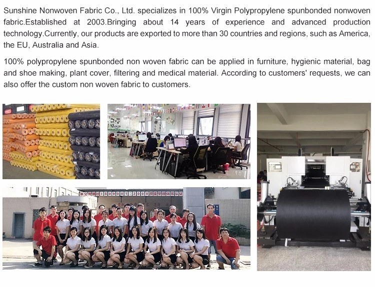 Factory Supply TNT Nonwoven Fabric with Quality