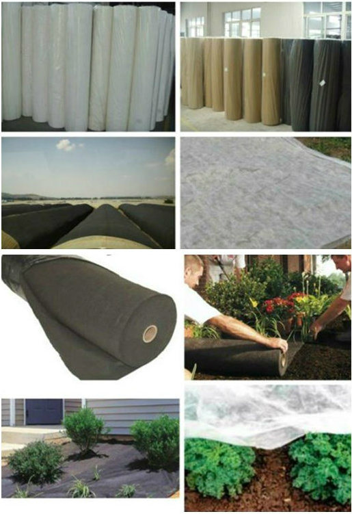 Mothproof PP Spunbond Nonwoven Fabric Anti-UV for Agriculture