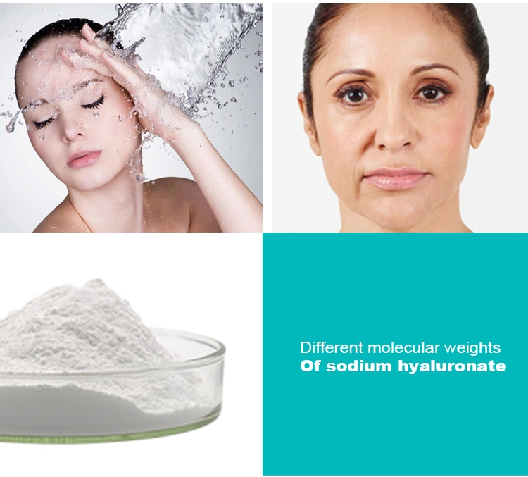 Hyaluronic Acid Food/Cosmetic/Injectable Grade/Eye Drop Grade White Powder