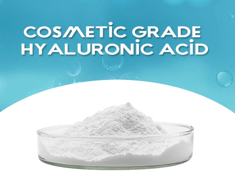 Hyaluronic Acid Food/Cosmetic/Injectable Grade/Eye Drop Grade White Powder