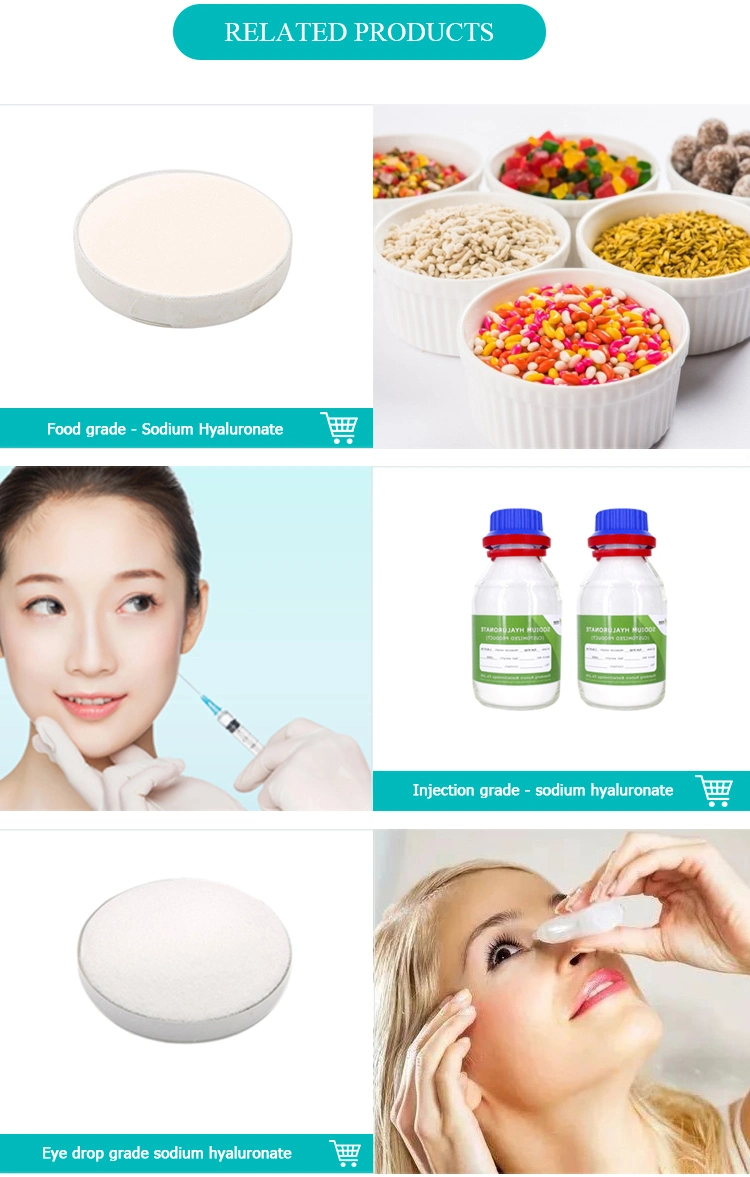 Hyaluronic Acid Food/Cosmetic/Injectable Grade/Eye Drop Grade White Powder