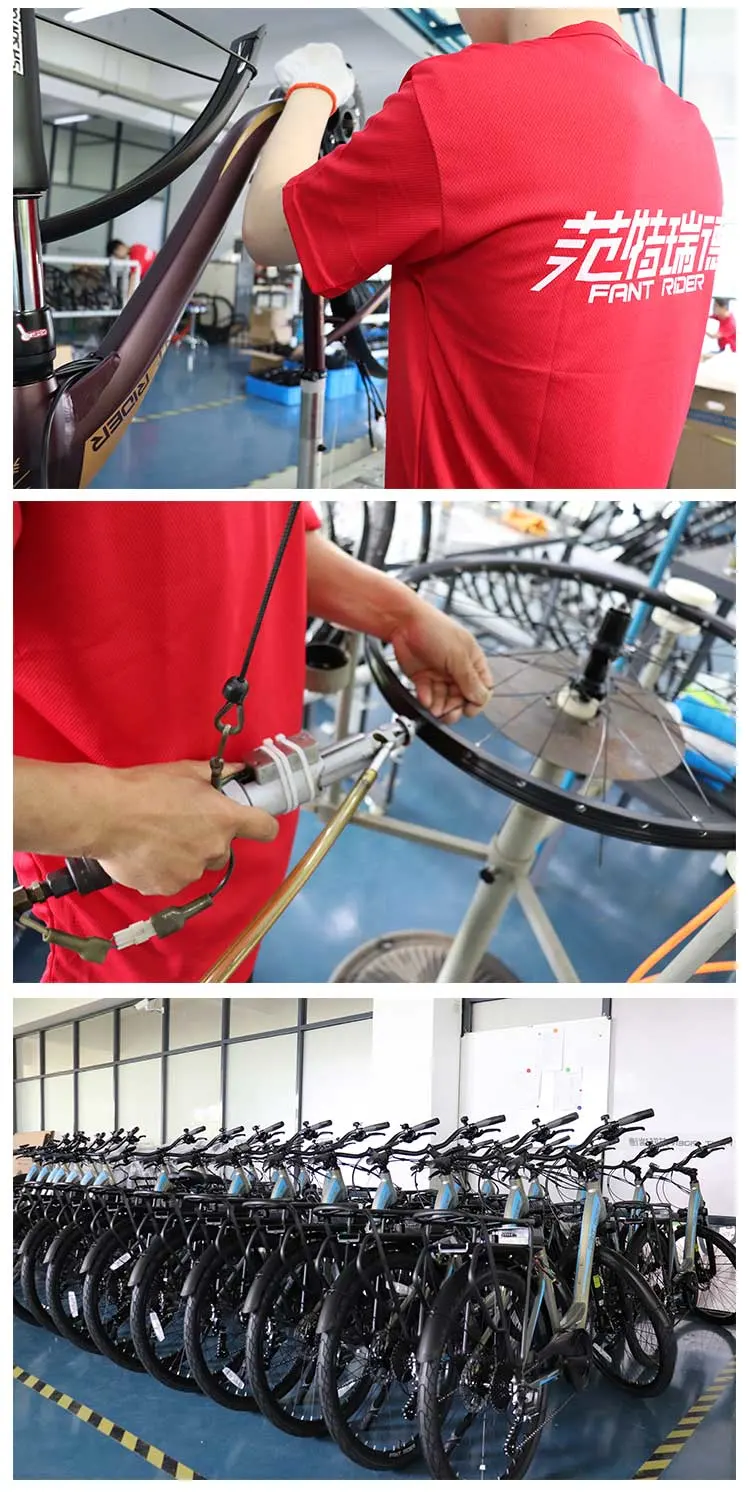 Fantrider China Electric Bike Electric Bicycle Motor City Bike 250W 36V 29er 26