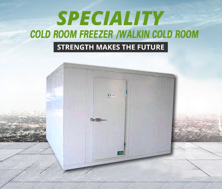 2021 Refrigeration Equipment Ice Cabinet Commercial Horizontal Refrigerator Chest Refrigerator Freezer with Large Capacity