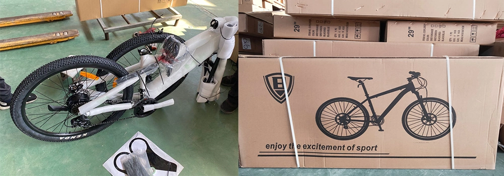 Electric Bike Battery 48V 20ah/Electric Bike Black/Electric Bike Bycicle