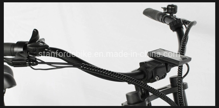 2020 Wholesales Electric Bike Electric Bicycle 48V500W Electric Dirt Bike Enduro Bike