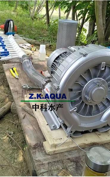 Blower High Quality Fish Pond Aerator Blower for Oxygen Supply Blower