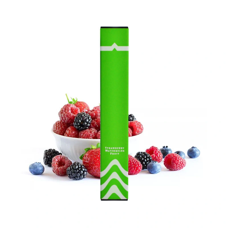 Whole Sales Posh Style Disposable Vape Pen OEM Accepted Fogg 600mAh Vape Pod with Fruit Flavors