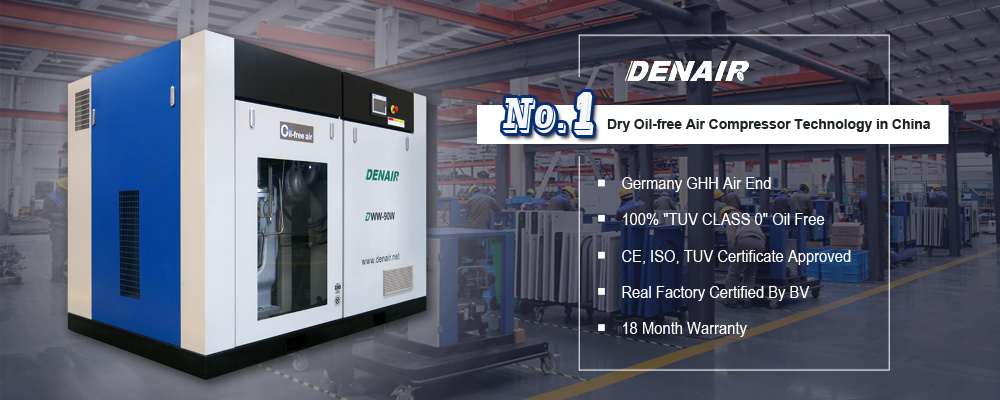 DENAIR Electric Industrial Oil Free Air Compressor For Spray Painting