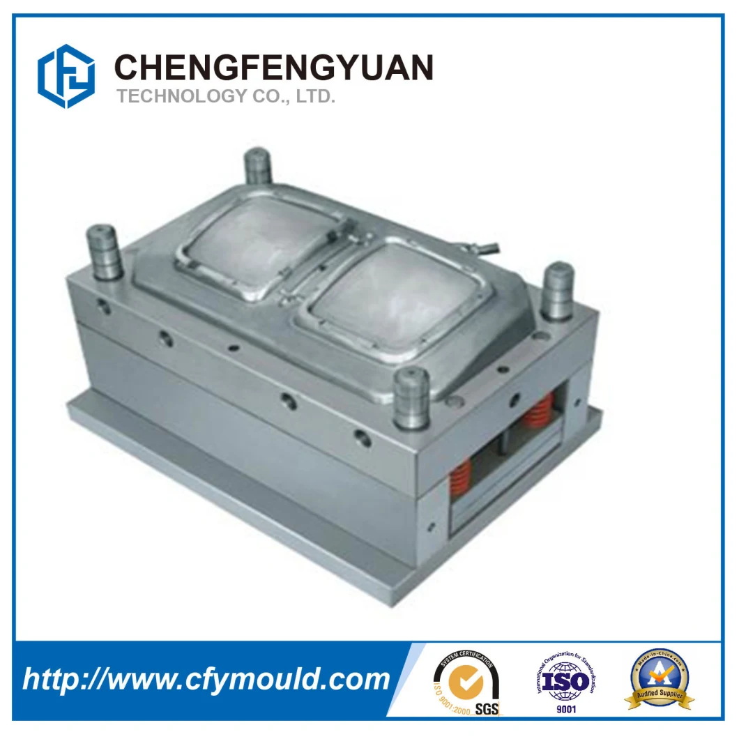 Rapid Prototype/Plastic Injecction Molding/ Moulding/Mold/Mould From China