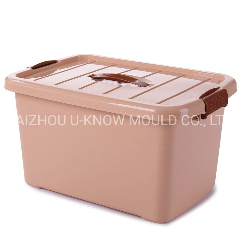 Large Size Houseware Storage Injection Mould Container Box Mold