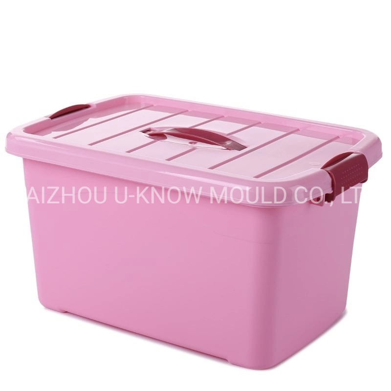 Large Size Houseware Storage Injection Mould Container Box Mold