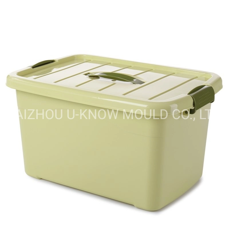 Large Size Houseware Storage Injection Mould Container Box Mold